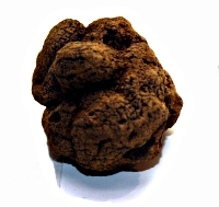 Illustration : March�s aux Truffes